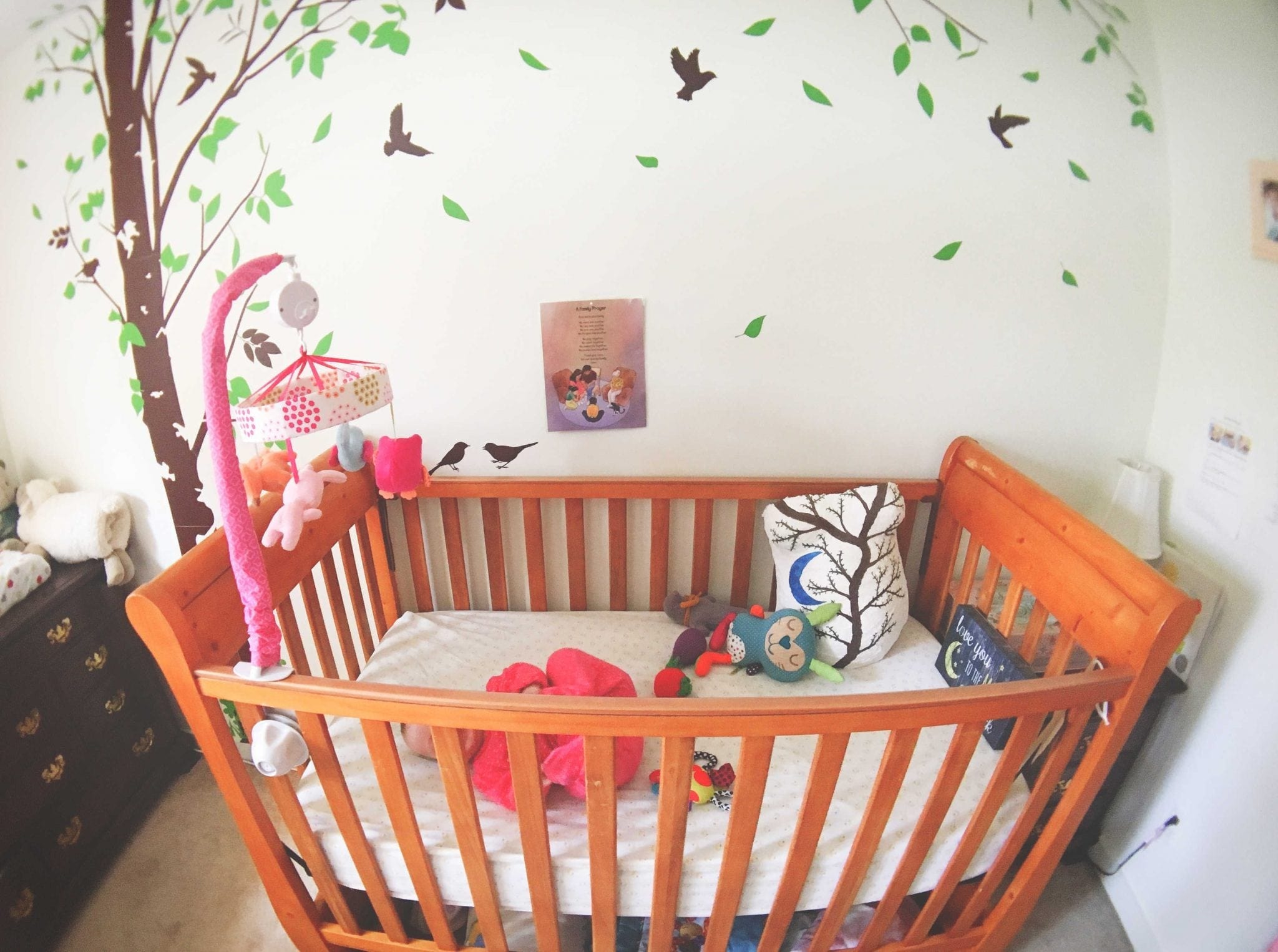 Luna's Secondhand Crib & Dressers - usually big ticket items