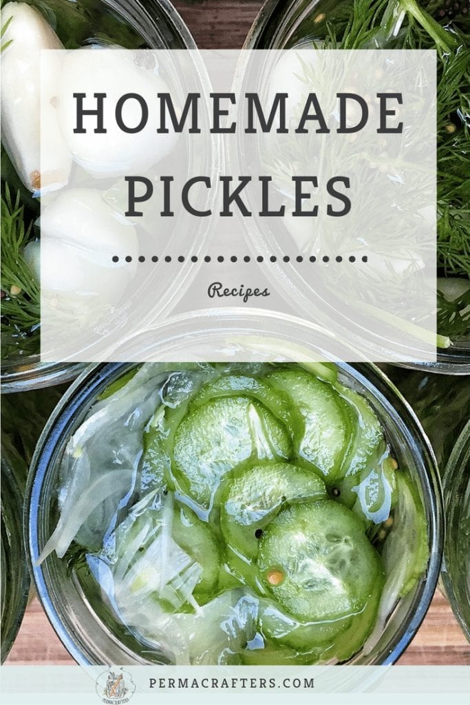 Homemade Pickles Recipe