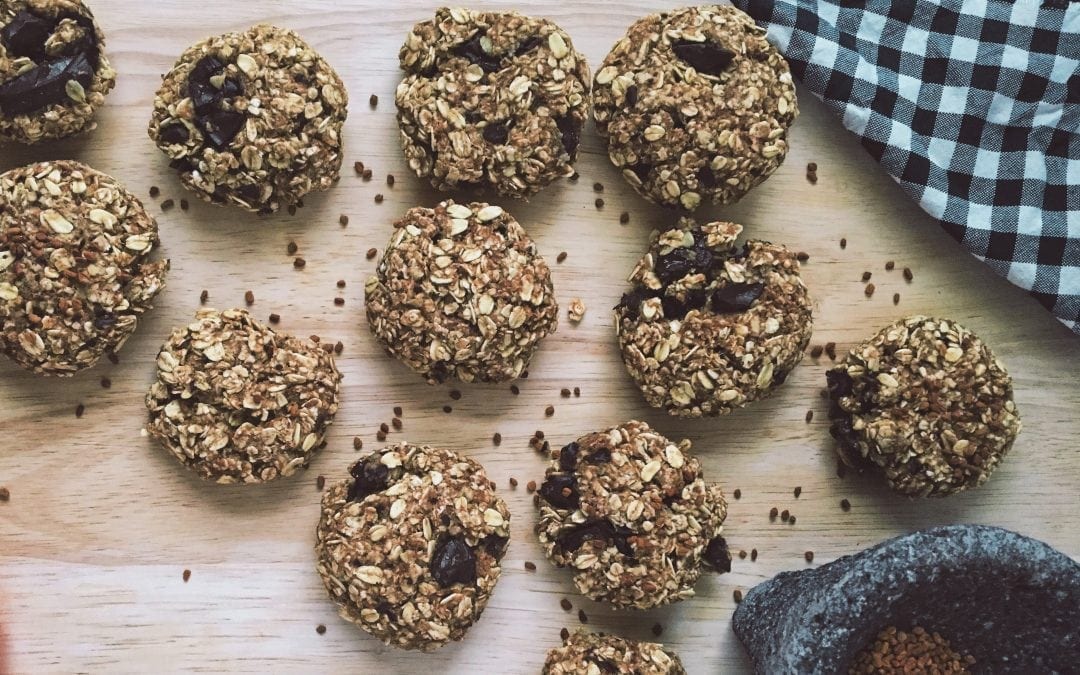 Vegan Lactation Cookies Recipe