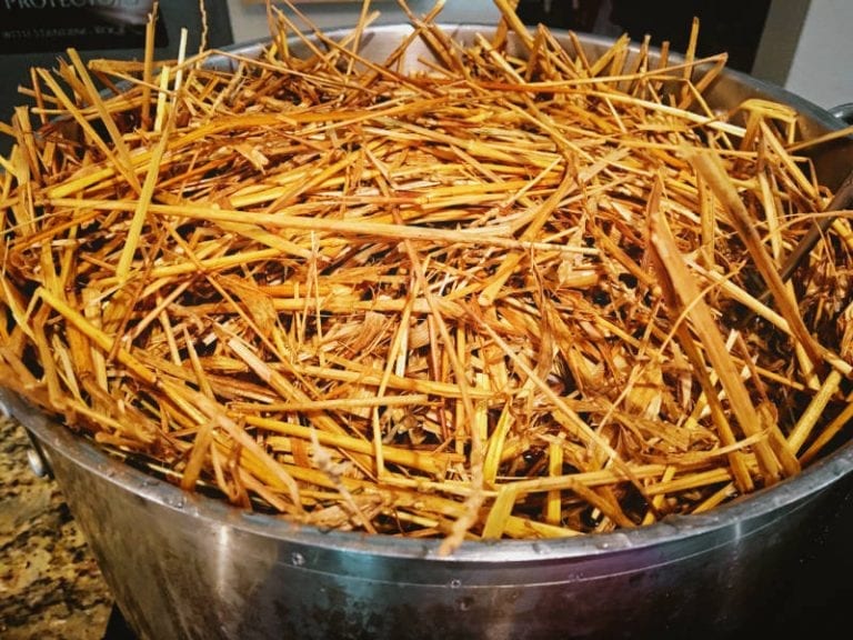 How to Grow Oyster Mushrooms Indoors Permacrafters