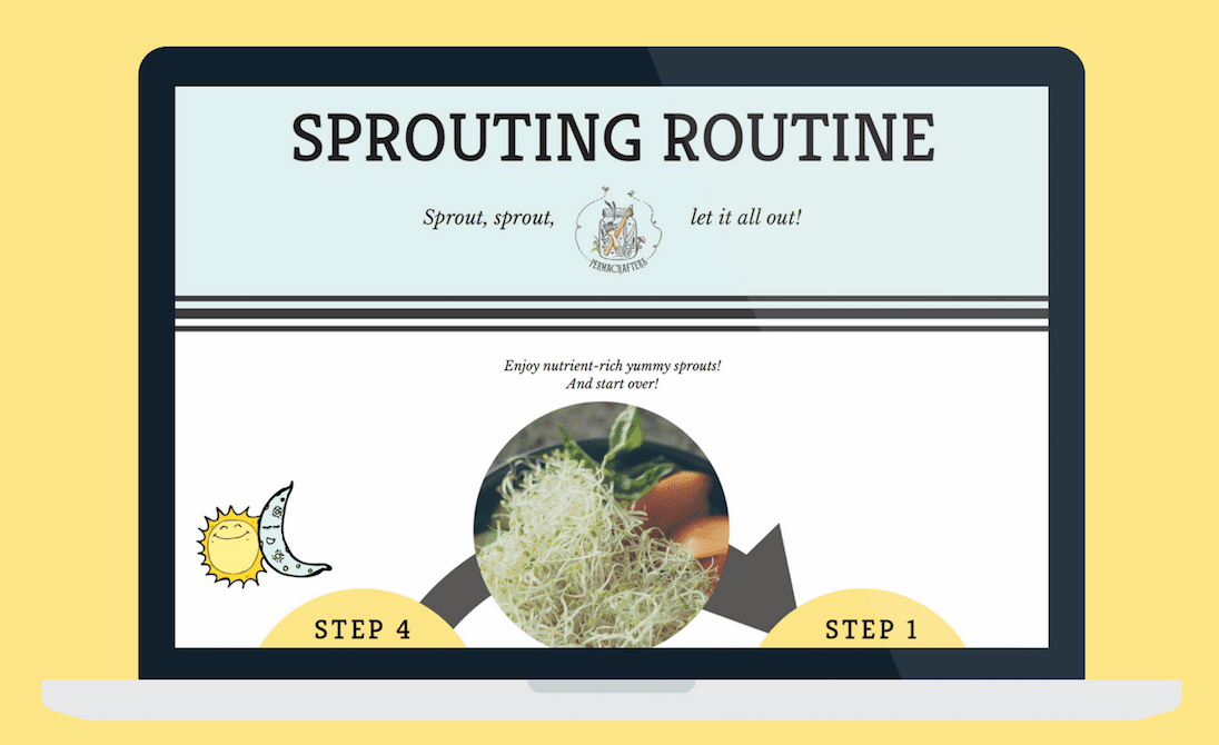 Want to start sprouting now?