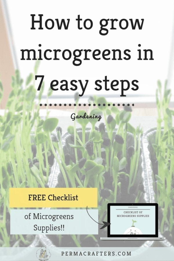 How To Grow Your Own Microgreens In 7 Easy Steps Permacrafters