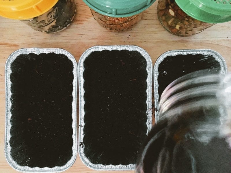 Add 1.5-2 inches of soil to your containers, leaving at least ¼ inch of space at the top