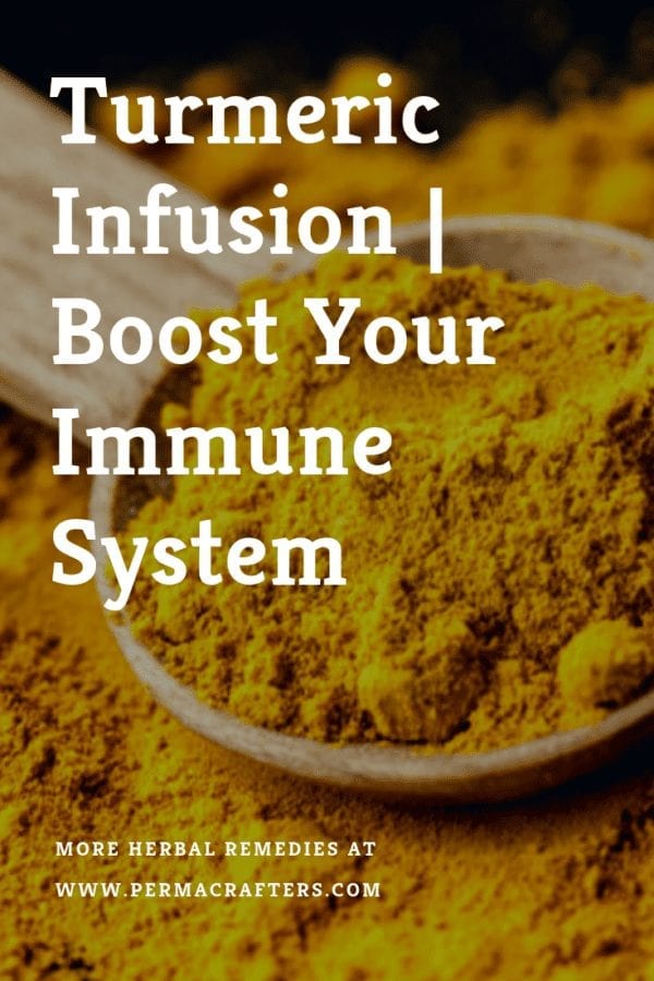 Turmeric Infusion Boost Your Immune System Permacrafters