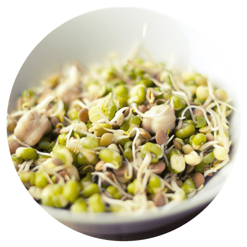 sprouts & microgreens