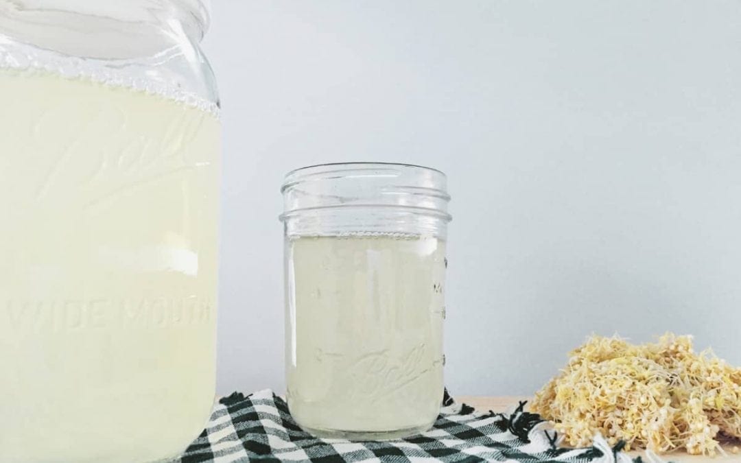 How to Make Rejuvelac | Probiotic Drink