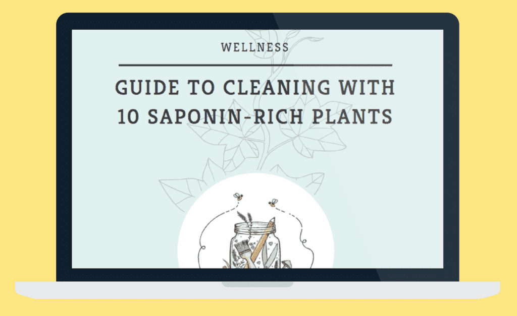 How to Make Wood Ash Laundry Cleaner Permacrafters