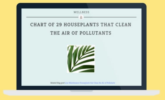 Want the full scoop on which houseplants sequester what pollutant?