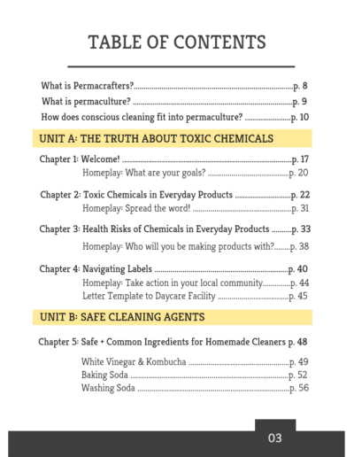 Green Cleaning Book
