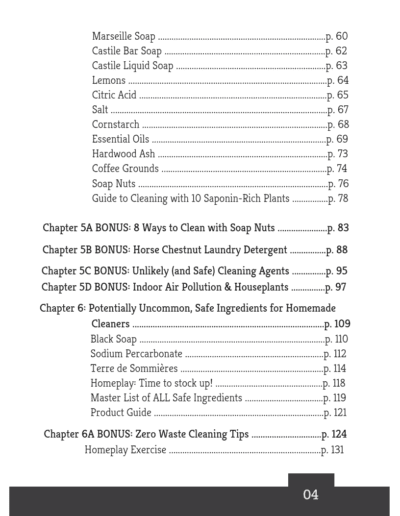 Green Cleaning Book