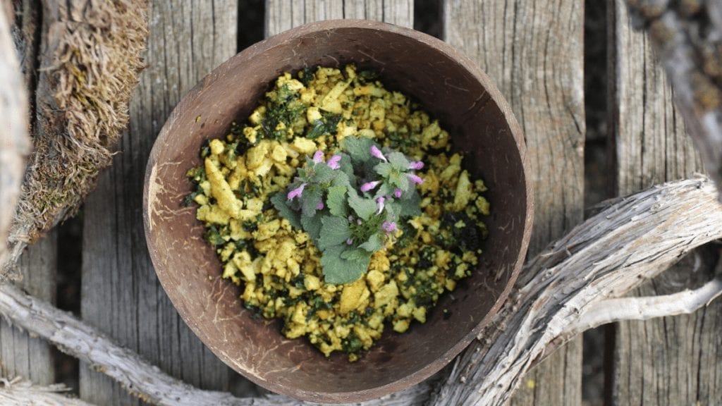 Foraged Purple Dead Nettle | Tofu Scramble Recipe