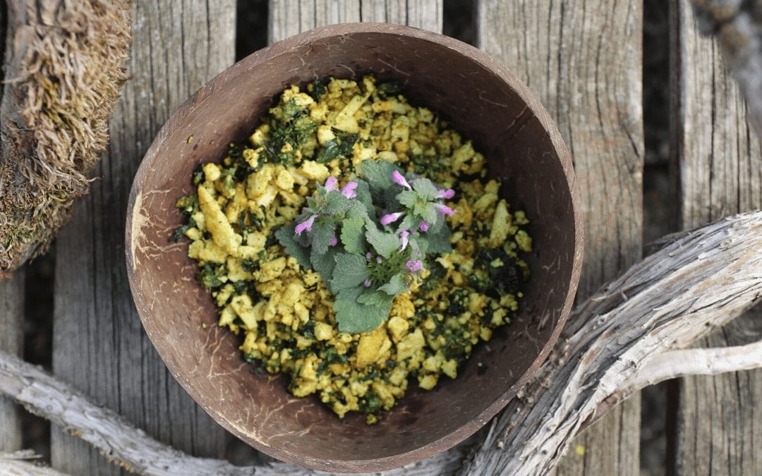 Foraged Purple Dead Nettle | Tofu Scramble Recipe