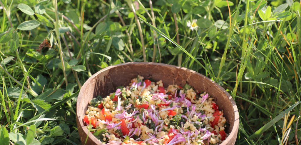 Foraged Red Clover Recipe: Wild Tabbouleh