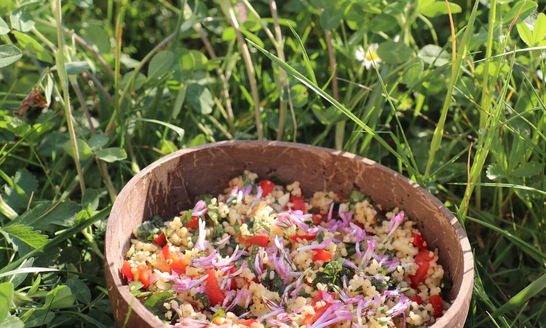 Foraged Red Clover Recipe: Wild Tabbouleh