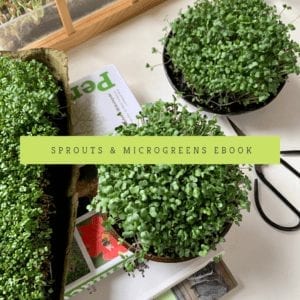 Sprouts & Microgreens