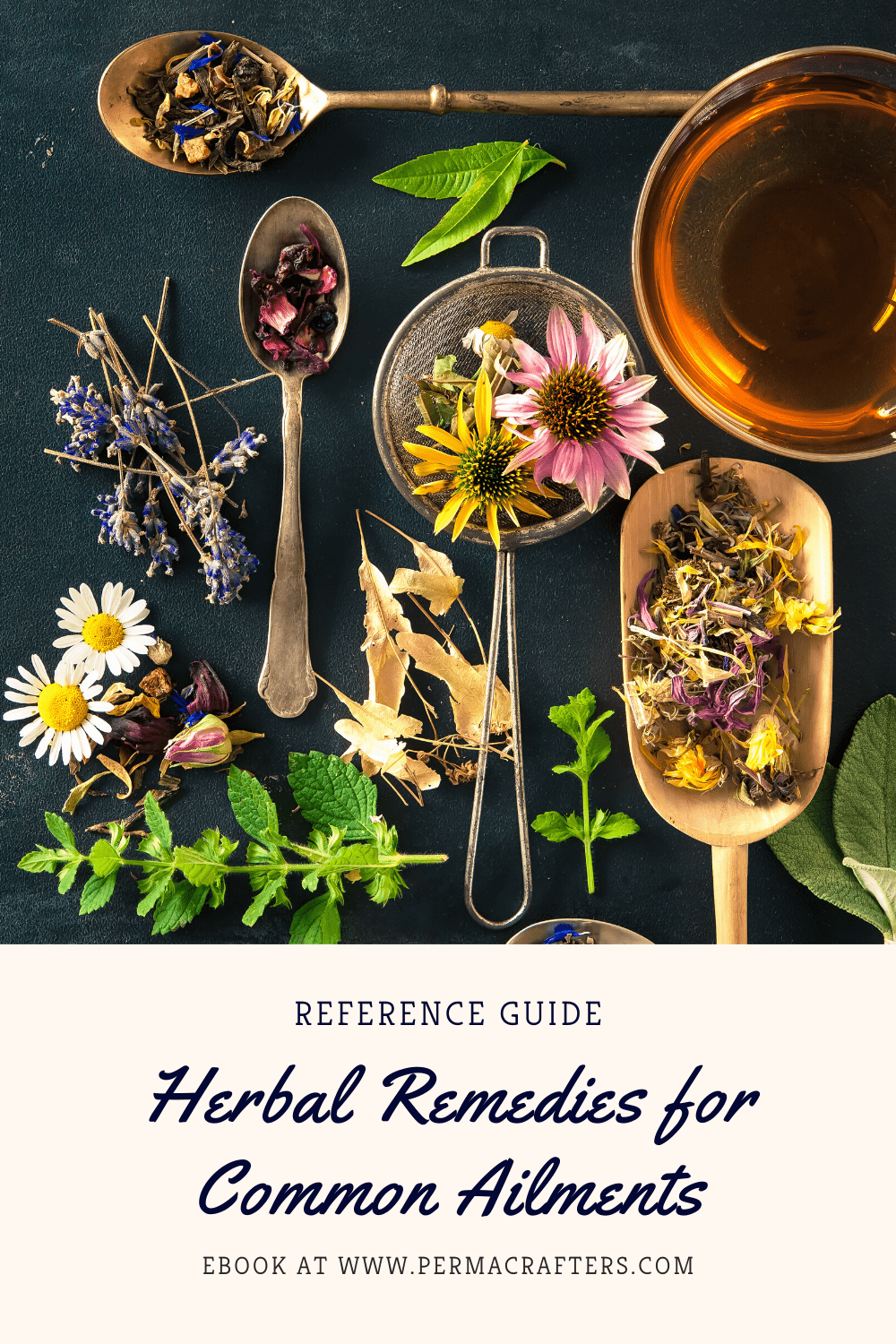 Herbal Remedies Ebook Herbal Remedies Ebook