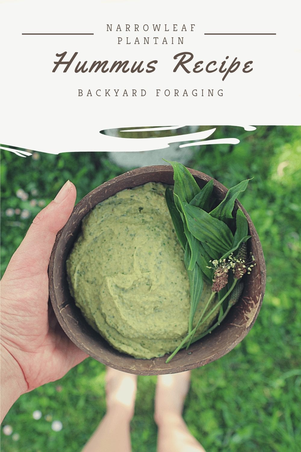 Narrowleaf Plantain Hummus Recipe: Backyard Foraging