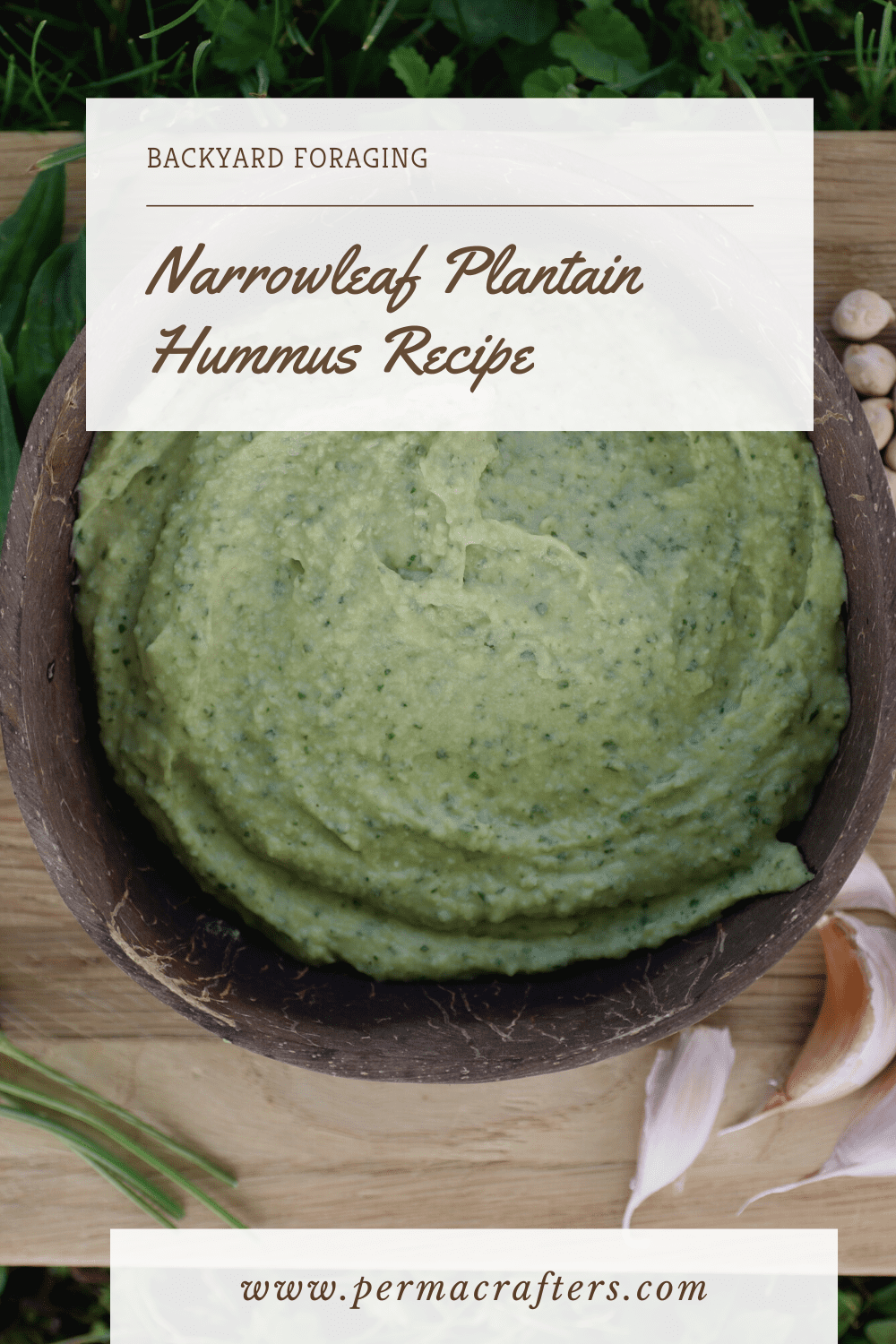 Narrowleaf Plantain Hummus Recipe: Backyard Foraging Narrowleaf Plantain Hummus Recipe: Backyard Foraging