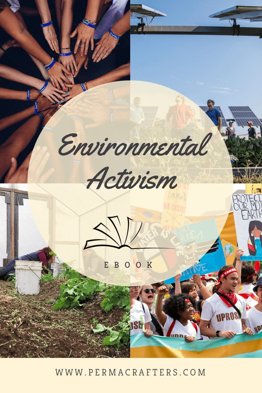 Activism Ebook Pin4 Environmental Activism Ebook