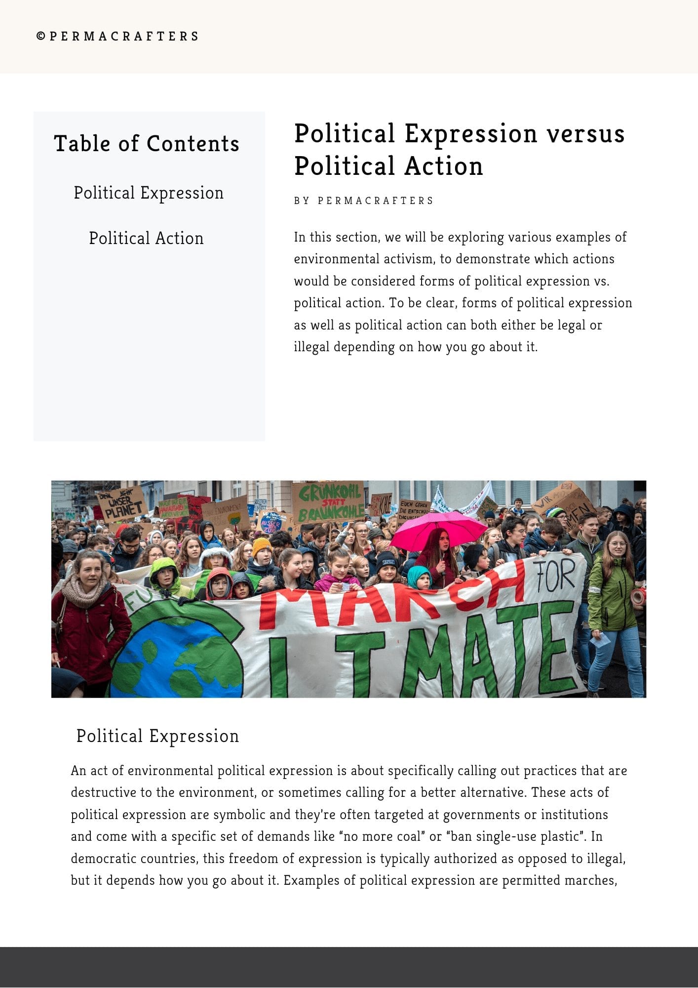 Environmental Activism Book