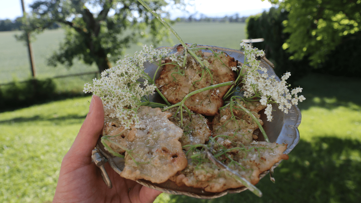 Elderflower Flitter Blog Post7