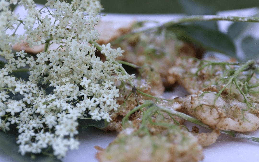 Vegan Elderflower Fritters | Spring Foraging