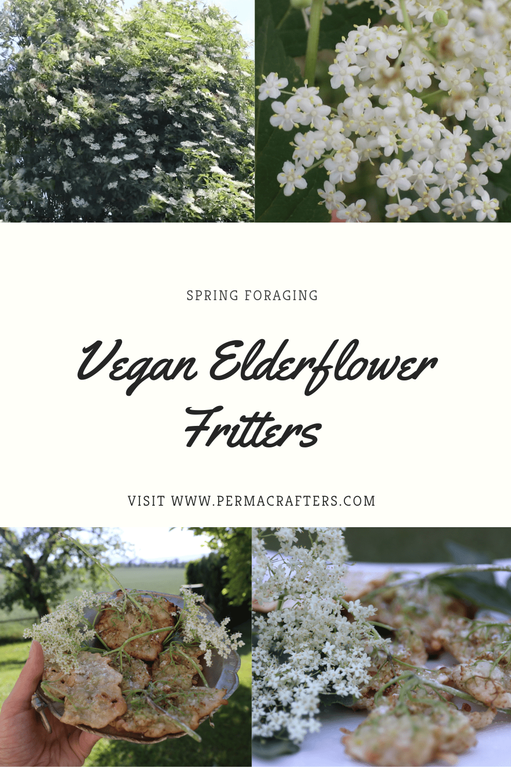 Elderflower Flitter Pinterest2 Narrowleaf Plantain Hummus Recipe: Backyard Foraging