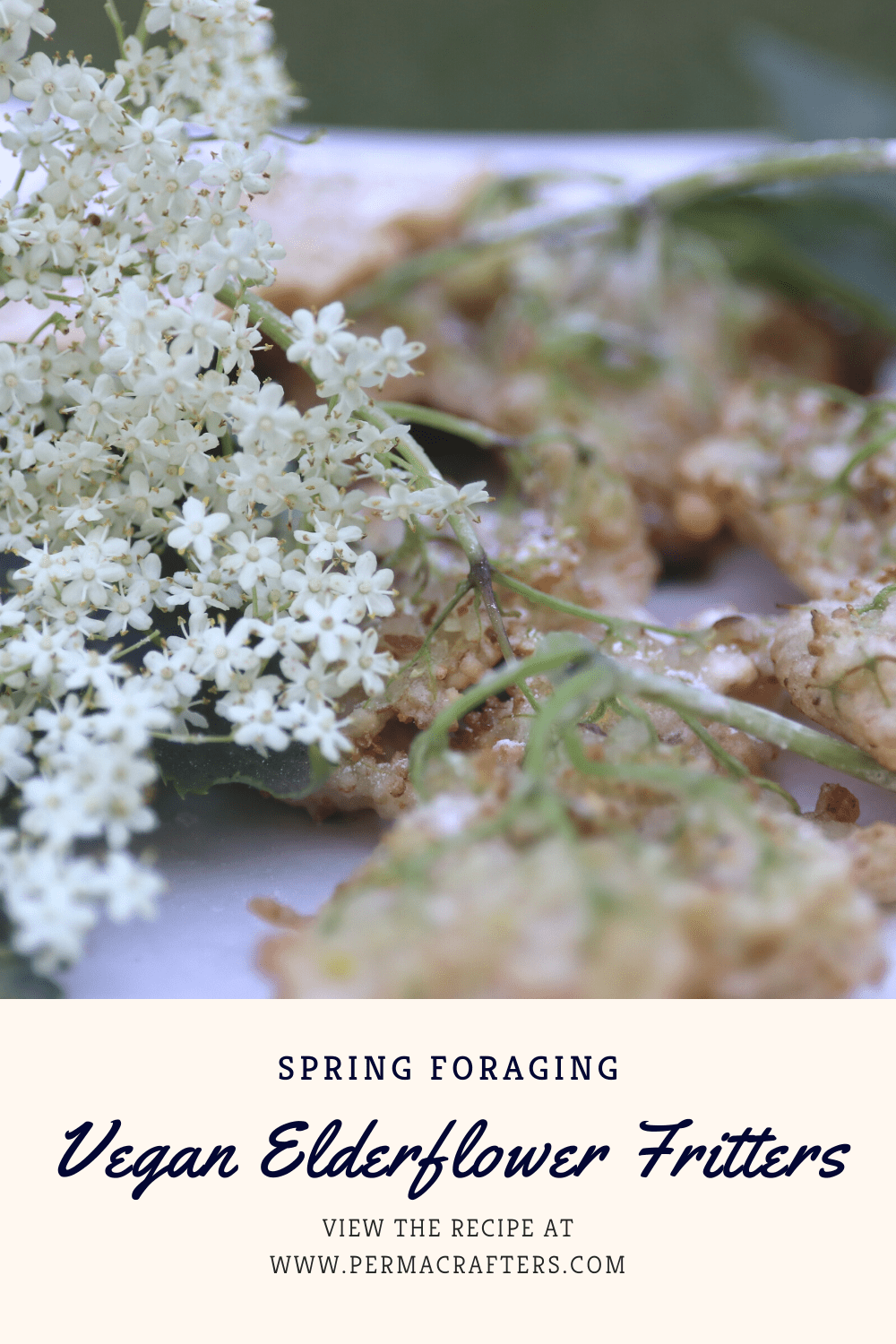 Elderflower Flitter Pinterest3 Narrowleaf Plantain Hummus Recipe: Backyard Foraging