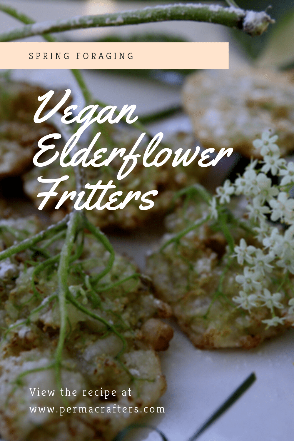 Elderflower Flitter Pinterest5 Narrowleaf Plantain Hummus Recipe: Backyard Foraging