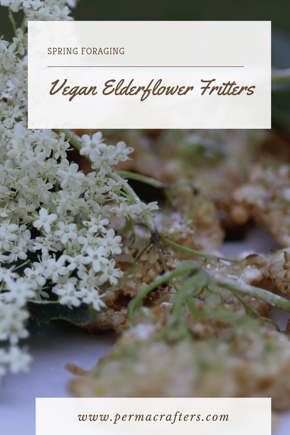 Elderflower Flitter Pinterest6 Narrowleaf Plantain Hummus Recipe: Backyard Foraging