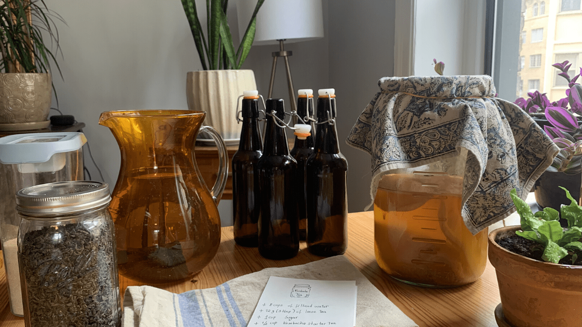 Homemade Kombucha Post4