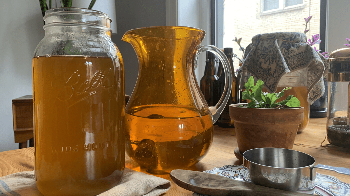 Homemade Kombucha Post6