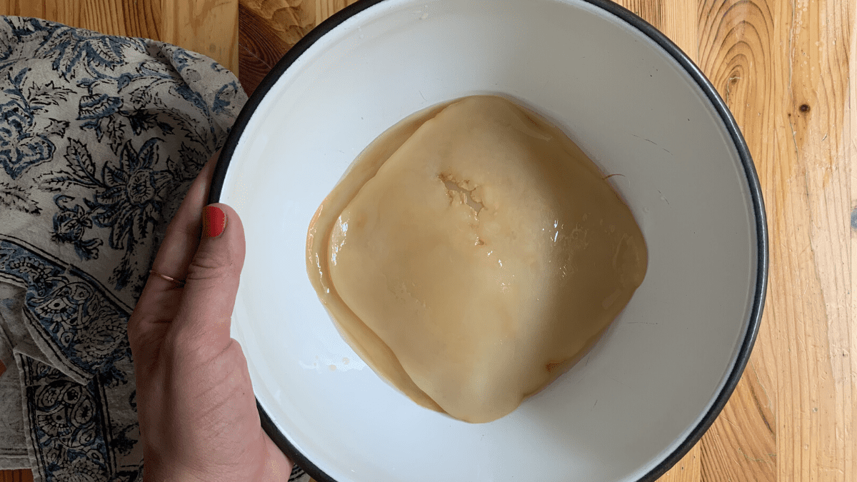 Homemade Kombucha Post7