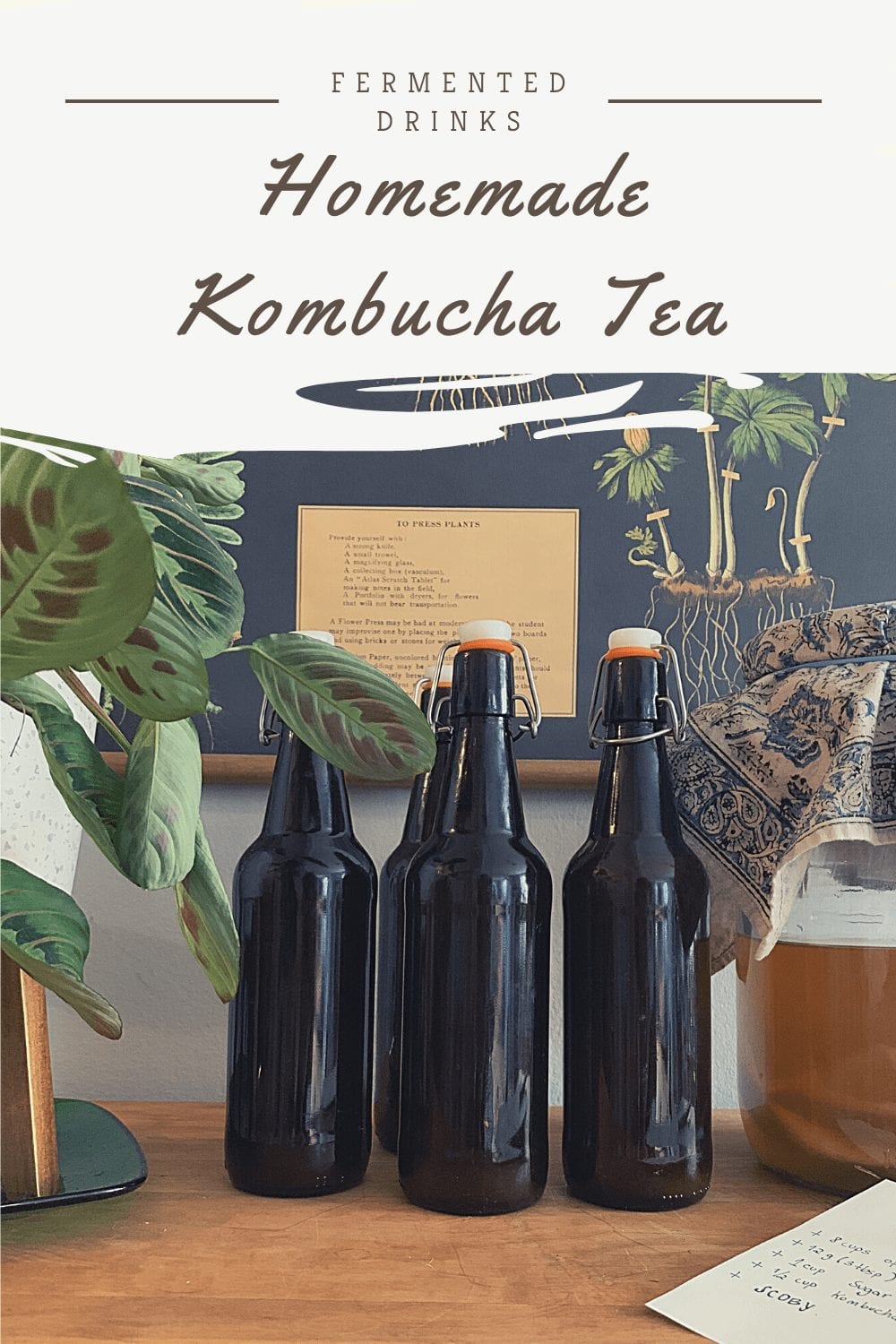 How To Make Homemade Kombucha Tea