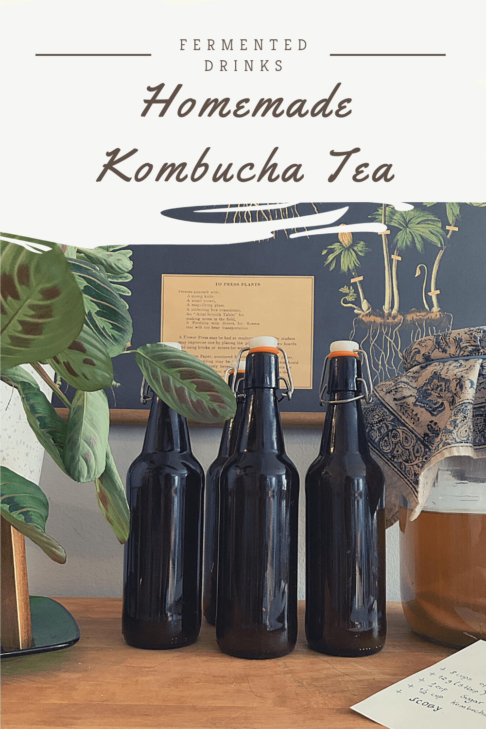 How To Make Homemade Kombucha Tea How To Make Homemade Kombucha Tea