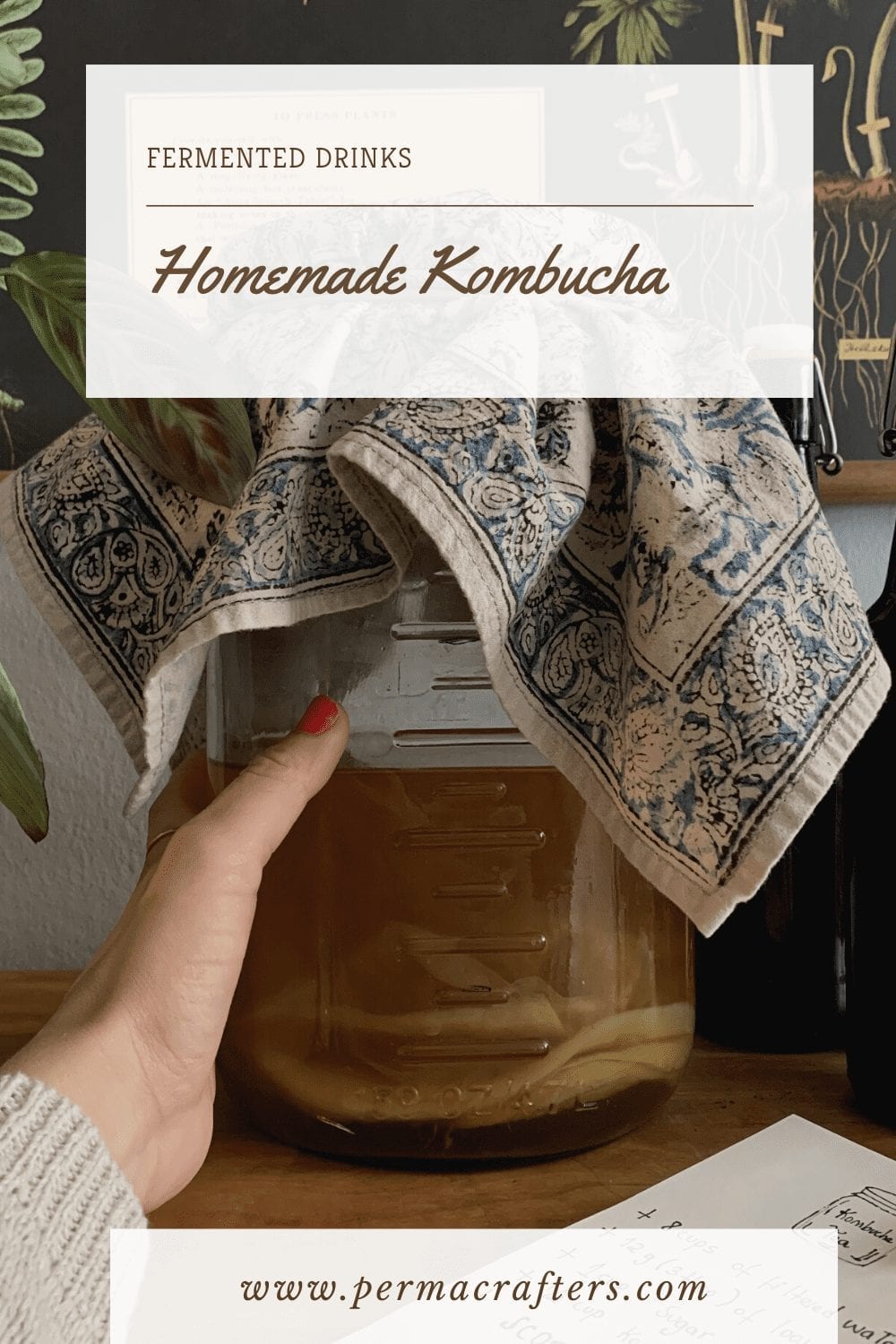 How To Make Homemade Kombucha Tea