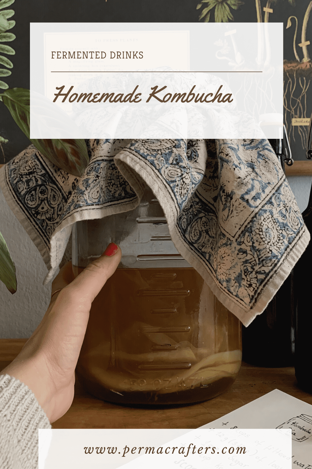 How To Make Homemade Kombucha Tea How To Make Homemade Kombucha Tea