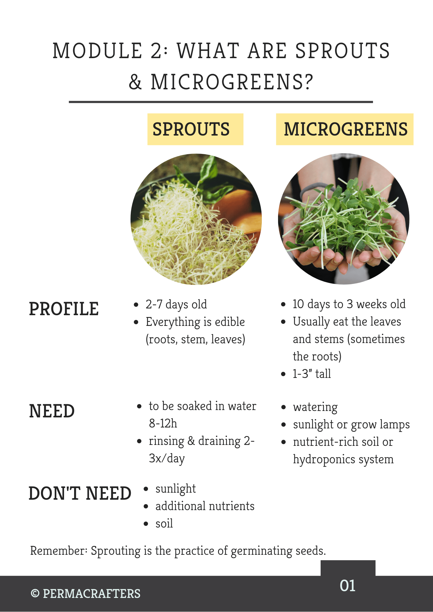 Sprouts & Microgreens