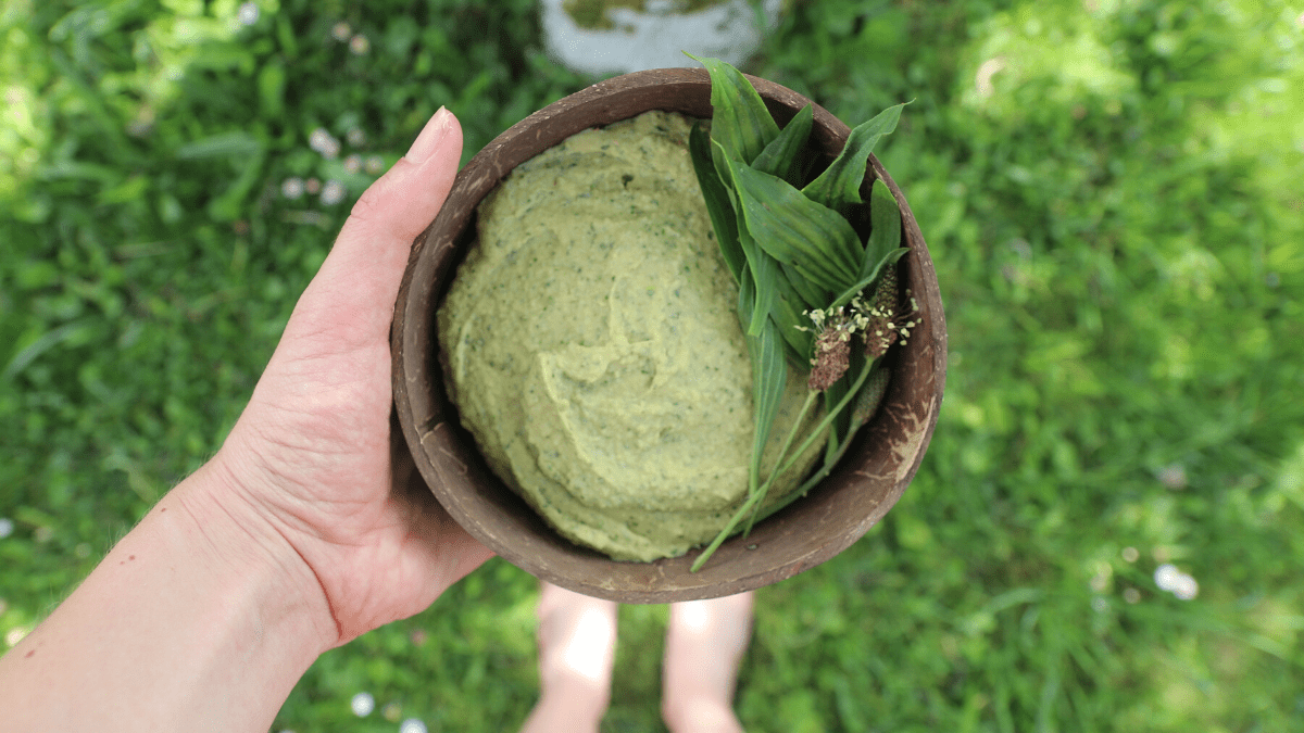 Narrowleaf Plantain Hummus Recipe2