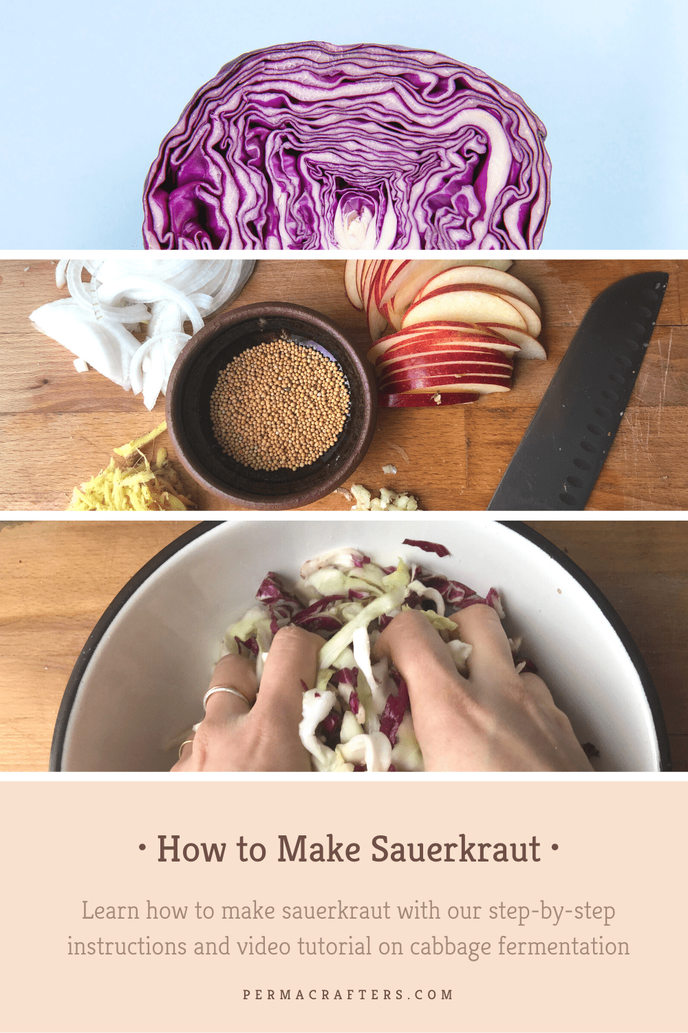 How to Make Sauerkraut Pinterest 1 How to Make Sauerkraut