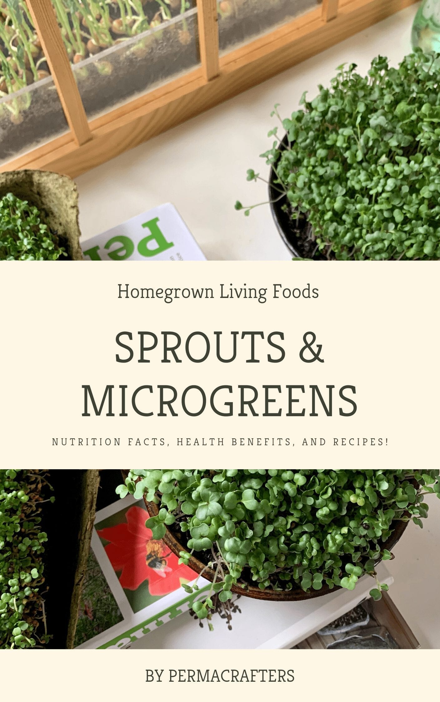 Sprouts & Microgreens Book Cover