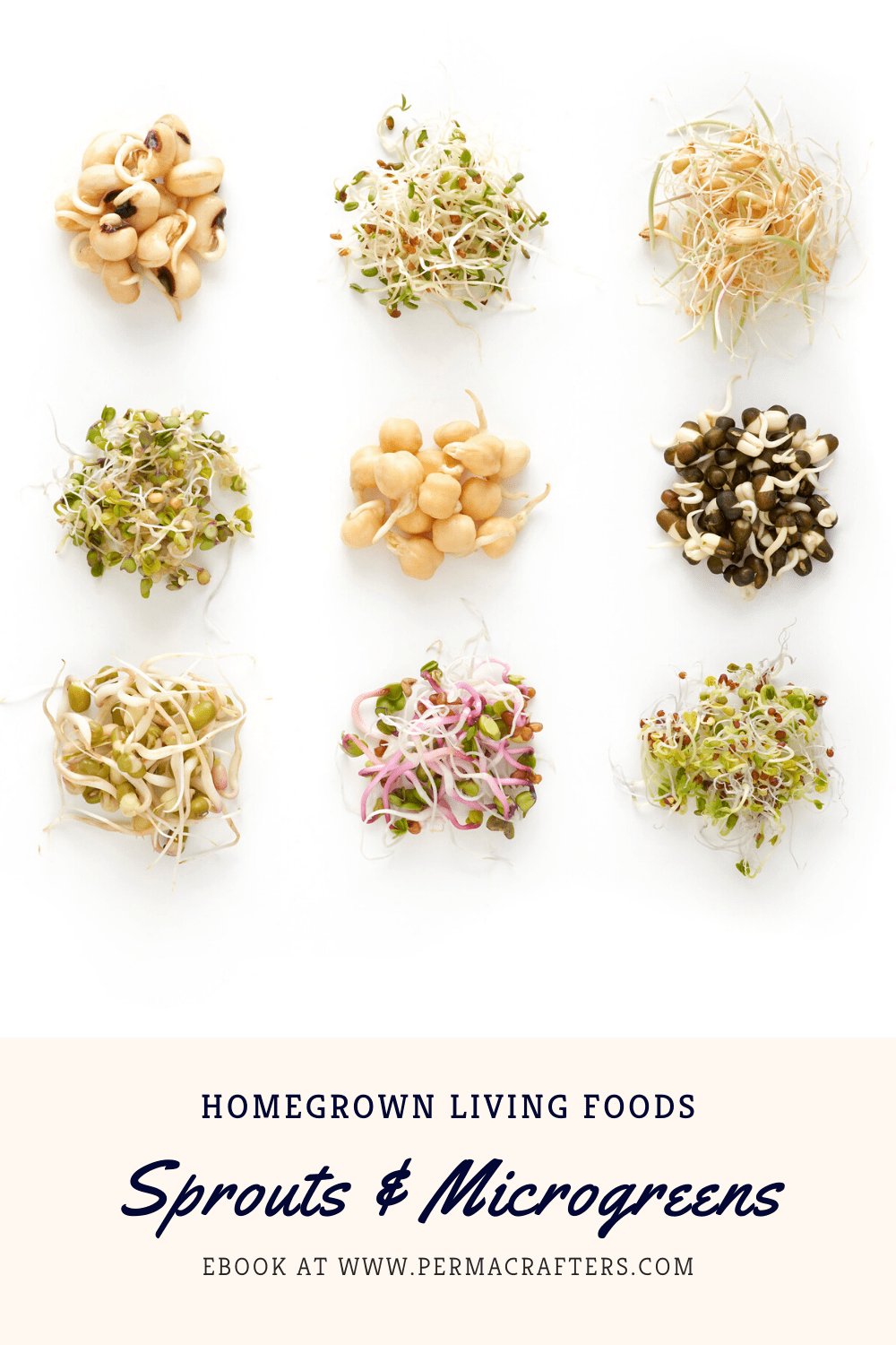 Sprouts & Microgreens Sprouts & Microgreens