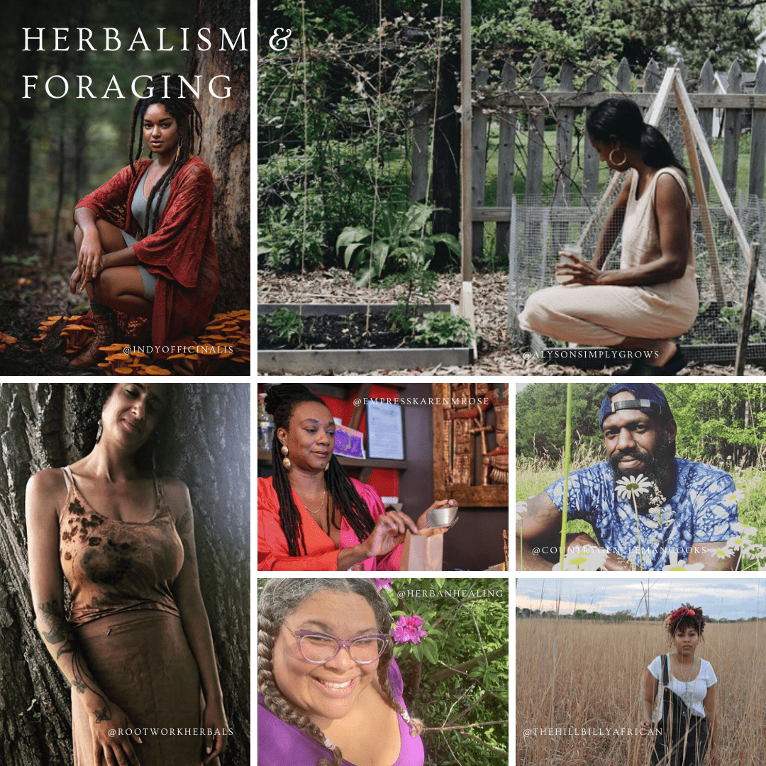 50 Black Voices in the Green Space to Follow on Instagram 50 Black Voices in the Green Space to Follow on Instagram