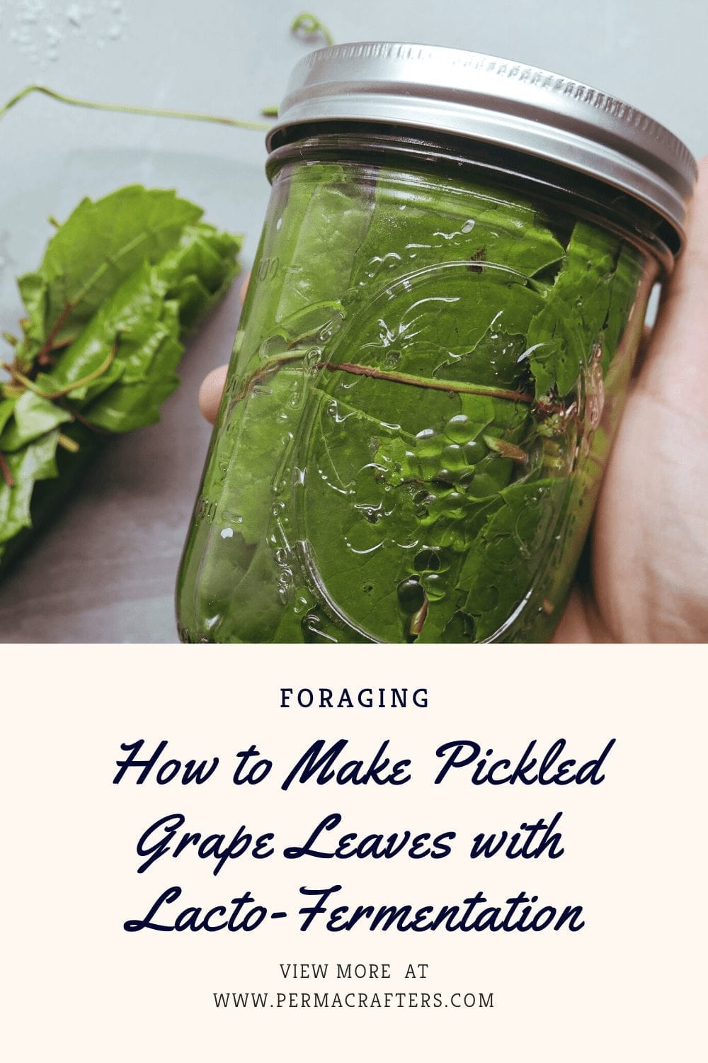 How to Make Pickled Grape Leaves with Lacto-Fermentation