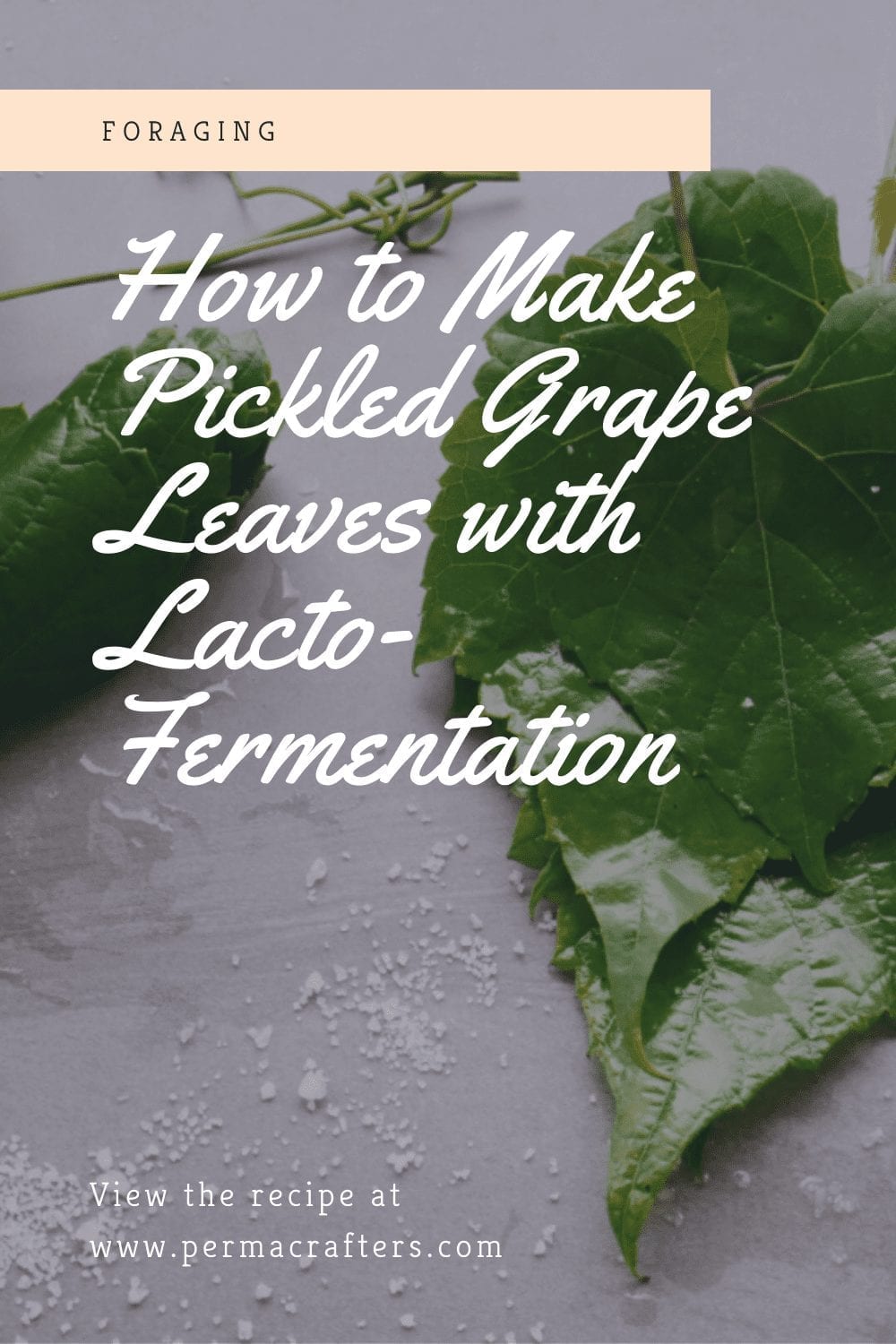 How to Make Pickled Grape Leaves with Lacto-Fermentation
