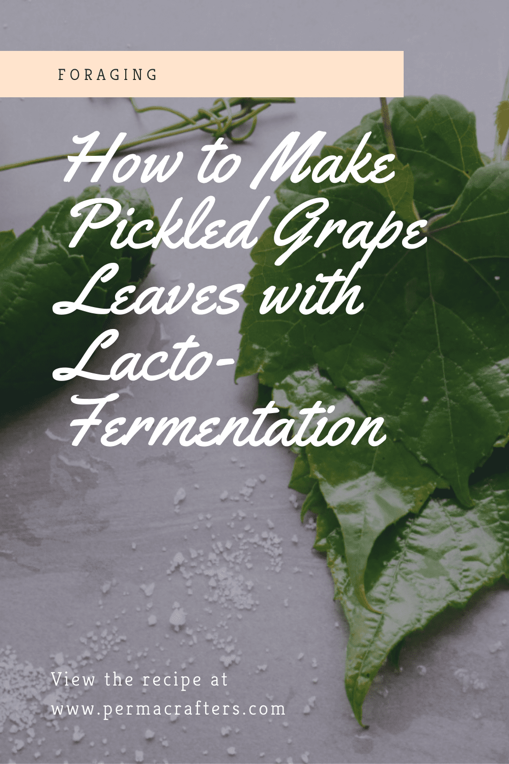 Pickled Grape Leaved Pin5 How to Make Pickled Grape Leaves with Lacto-Fermentation