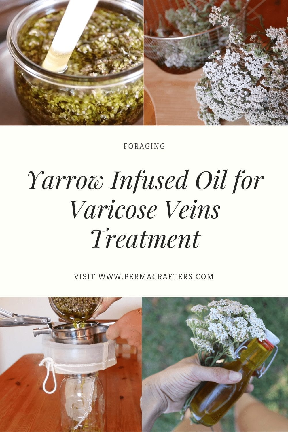 Yarrow Infused Oil for Varicose Veins Treatment BP1