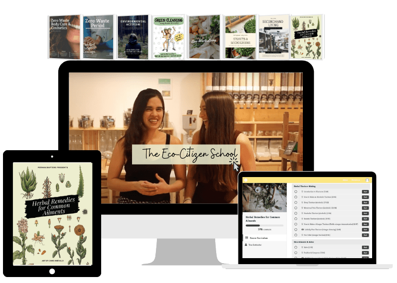 Mock-up The Eco-Citizen School