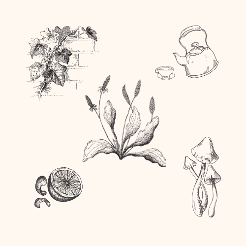 Eco School Graphic3
