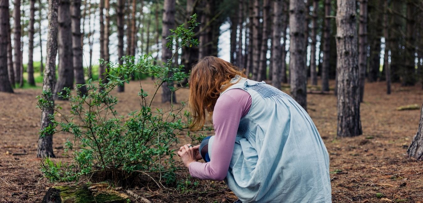 Environmental Activism